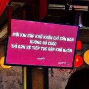 Tìm chị