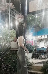 siêu phẩm loli